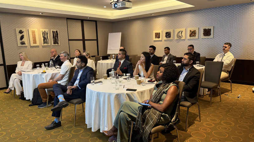 Education, Career Mobility and Residency: Strategies for Global Professionals