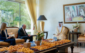 Ruler of Ras Al Khaimah receives Ambassador of Ukraine