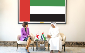 Саид Аль Хаджери принял министра иностранных дел Грузии